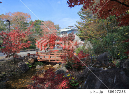 香川用水記念公園の紅葉 86697288