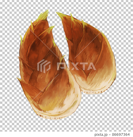 たけのこ 86697364