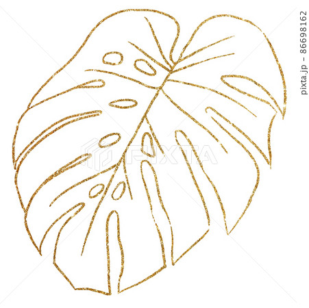 fertilizing peace lily plant Professional Liquid Peace Lily Plant Fertilizer