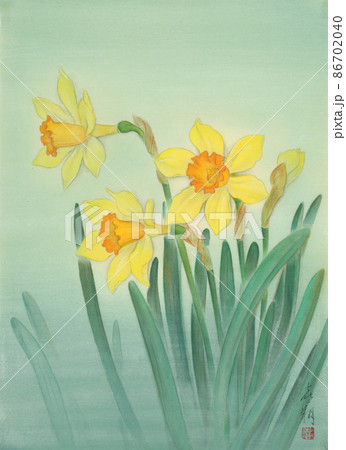 和風イメージ 　早春の花　 さわやかな日本画の水仙  86702040