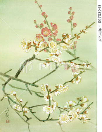 和風イメージ　早春の花　日本画の紅梅 白梅 86702043