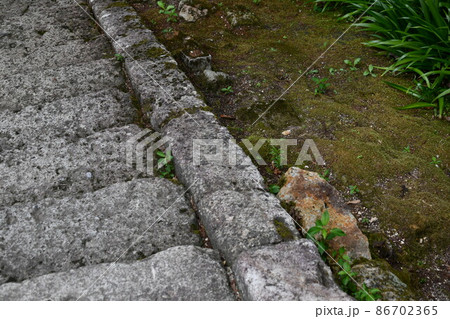 苔の生えた地面の隣を通っている階段 86702365