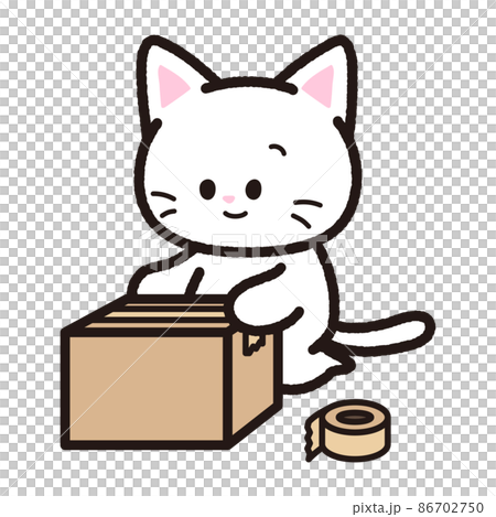 打包的白貓 86702750