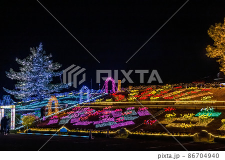 長島町 鹿児島県出水郡 初のイルミネーションイベント フラワーズオブヒカリ の写真素材