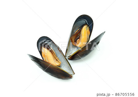 Fresh mussels seafood isolated on white background Fresh mussels seafood isolated on white background 86705556