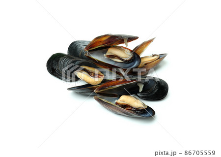 Fresh mussels seafood isolated on white background 86705559