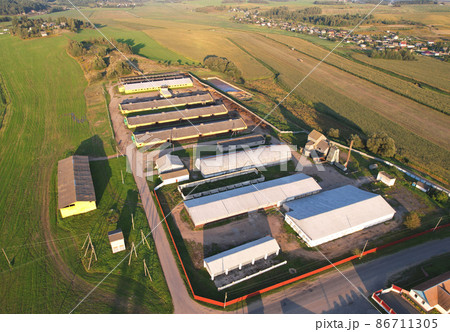 Agricultural Buildings with farm animals.  86711305