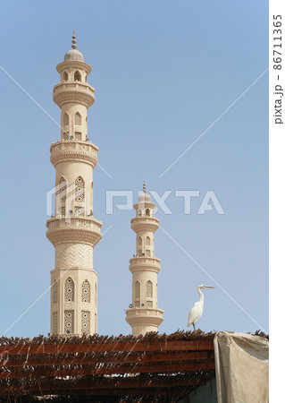 White heron sitting on the roof with white mosque minarets on backrgound in Hurghada, Egypt White heron sitting on the roof with white mosque minarets on backrgound in Hurghada, Egypt 86711365