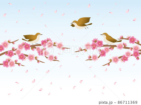 桜_花吹雪_ウグイス_背景あり 86711369
