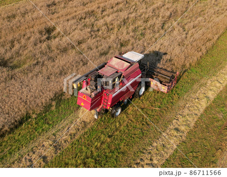 Combine harvester working in rapeseed field.  86711566