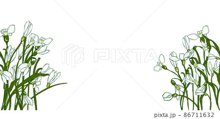 Card of white snowdrops, green leaves Card of white snowdrops, green leaves 86711632