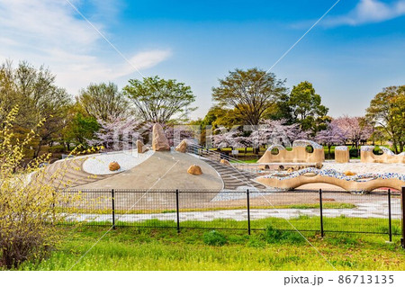 東京都 足立区 舎人公園 満開の桜とじゃぶじゃぶ池 東京都 足立区 舎人公園 満開の桜とじゃぶじゃぶ池 86713135