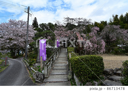 春の谷性寺 春の谷性寺 86713478