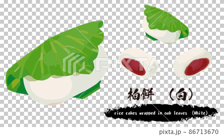 Illustration material: Kashiwamochi 86713670