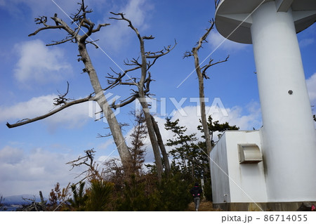気仙沼大島の白い灯台 86714055