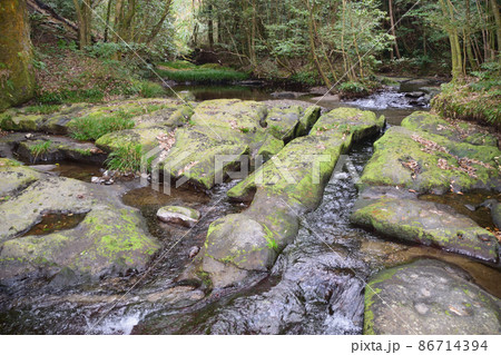 城水観音と奇岩 86714394