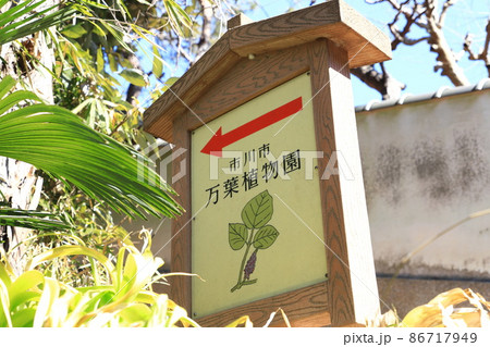 市川市万葉植物園　千葉県 86717949