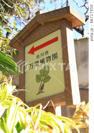 市川市万葉植物園　千葉県 86717950