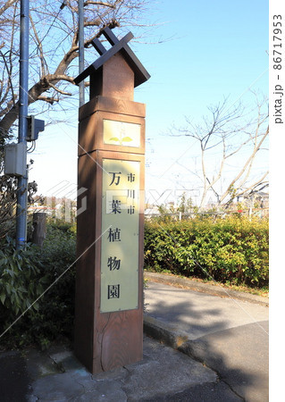 市川市万葉植物園　千葉県 86717953