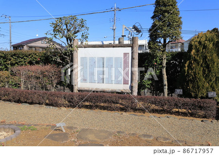 市川市万葉植物園　千葉県 86717957