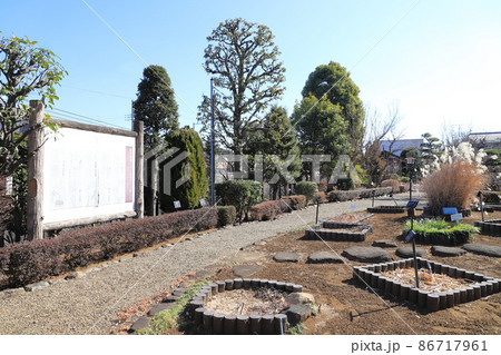 市川市万葉植物園 千葉県 市川市万葉植物園 千葉県 86717961