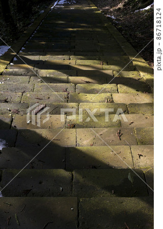 冬の華蔵寺・参道 冬の華蔵寺・参道 86718124