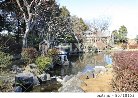 市川市万葉植物園　千葉県市川市 86718153