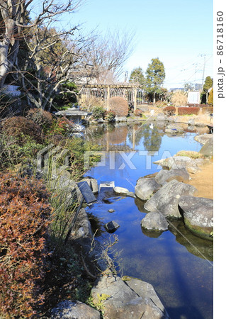市川市万葉植物園　千葉県市川市 86718160