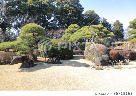 市川市万葉植物園　千葉県市川市 86718163