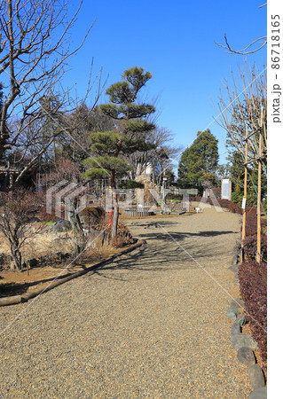 市川市万葉植物園　千葉県市川市 86718165