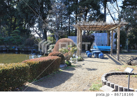 市川市万葉植物園　千葉県市川市 86718166