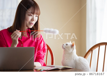 女性と猫 テレワーク 女性と猫 テレワーク 86718167