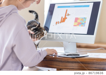 テレワーク 女性と猫 テレワーク 女性と猫 86719636