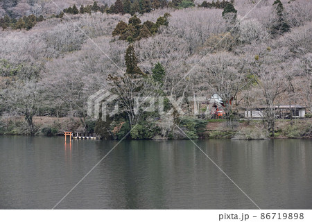 九頭龍神社　芦ノ湖　湖上の鳥居 86719898
