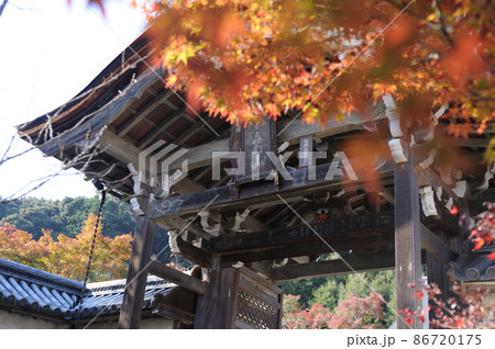 和　庭園　神社 86720175