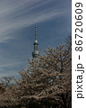 塔と桜 86720609