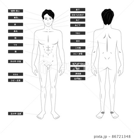若いアジア人男性の脱毛エステの全身の箇所指示白バックの線画のイメージイラスト図 86721348