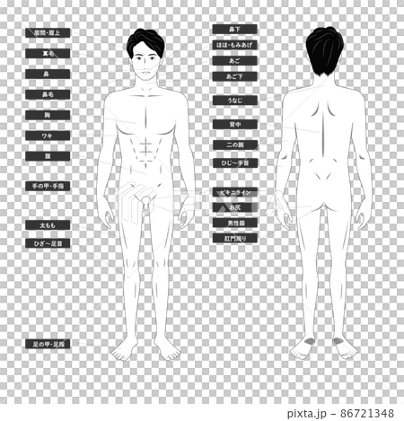 若いアジア人男性の脱毛エステの全身の箇所指示白バックの線画のイメージイラスト図 86721348