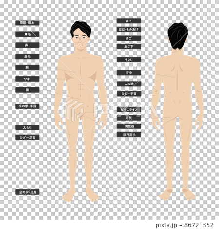 白色背景的圖像說明，顯示了亞洲年輕男子的全身脫毛美學 86721352