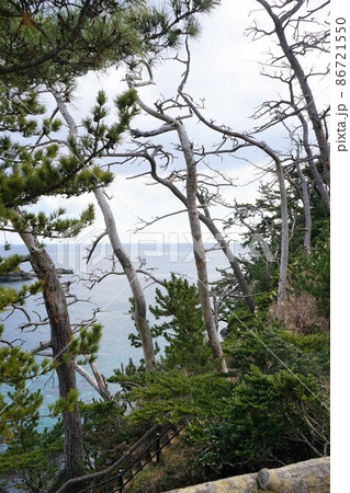 二月の気仙沼大島 二月の気仙沼大島 86721550