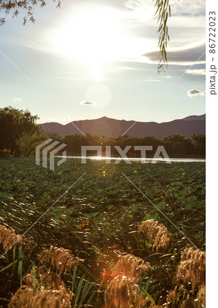 China Beijing summer palace lake wonderful view  86722023