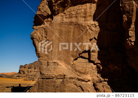 Cow - Cave paintings and petroglyphs at Boumediene ,Tassili nAjjer national park, Algeria 86723115