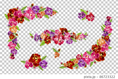 パンジー、ビオラの花素材 赤系 パンジー、ビオラの花素材 赤系 86723322