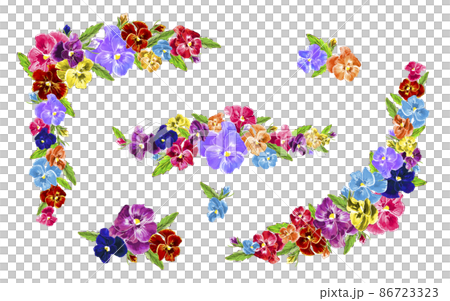 パンジー、ビオラの花素材 カラフル パンジー、ビオラの花素材 カラフル 86723323