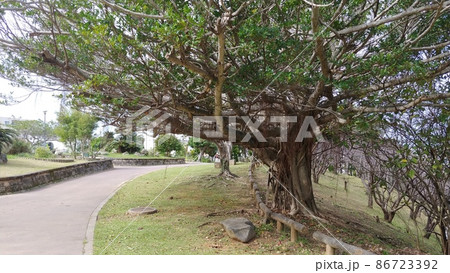 那覇市 末吉公園2 那覇市 末吉公園2 86723392
