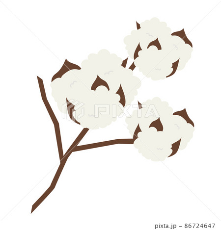 綿花のシンプルなベクターイラストのイラスト素材