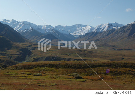夏のアメリカ・アラスカ旅行 夏のアメリカ・アラスカ旅行 86724844