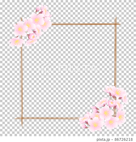 Sakura Line Frame Sakura frame ⑭ (square, hand-painted line... - Stock Illustration ...