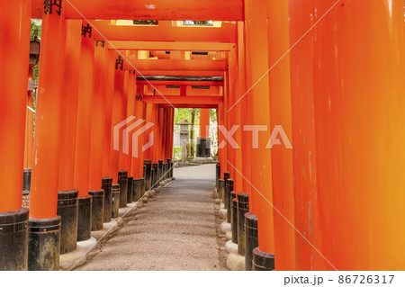 京都　伏見稲荷大社　千本鳥居 86726317