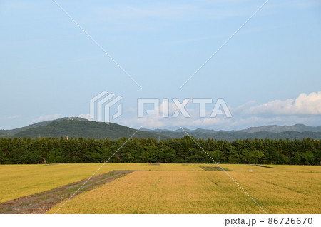 北海道の広大な田園風景に実った稲と大空を流れる雲 北海道の広大な田園風景に実った稲と大空を流れる雲 86726670